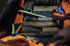 Nearly 100 kilogrammes of ivory seized at Hanoi airport