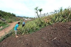 New forest law excludes disadvantaged groups