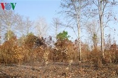 Forest fire risk challenges southern province