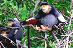 Ministry ignores environmental opposition to controversial tourist plan