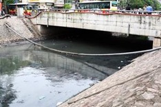 Hanoi to cooperate with Hungary to purify lakes