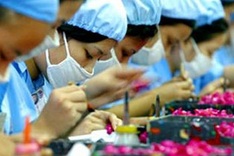 Expectations for Tet bonuses low this year