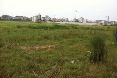 Sluggish real estate projects face suspension risk