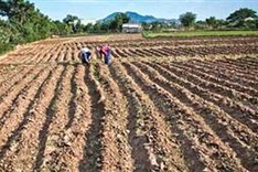 El Nino likely to set new weather records: Experts