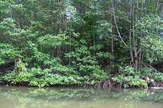 Vietnam: 3 destinations among top 27 amazing natural wonders