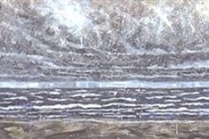 Vietnamese artists show off works