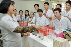 50% of university lecturers are unqualified