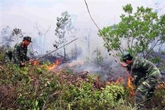Officials warn of forest fires