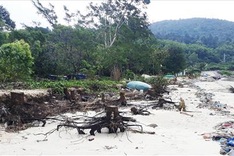 Dozens of households in Danang being threatened by beach erosion