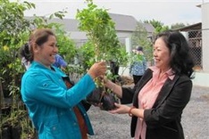 HCM City branches out with green space scheme