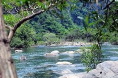 First forest leased for research and conservation purposes