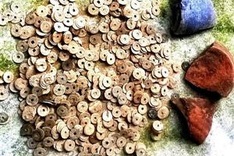 Antique coins discovered in Ha Tinh