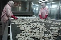 Asians seek more Vietnam shrimp