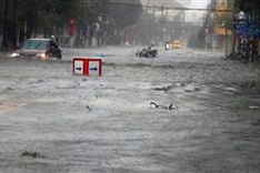 UN approves US$4.2 million aid to Vietnamese typhoon victims