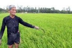 Farmers receive land back as projects turn sluggish