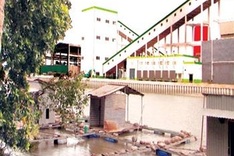 Proposal to raise fish near paper plant's waste discharge lake slammed