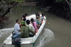 HCM City to develop river tourism