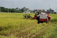 Red River Delta targets higher GDP