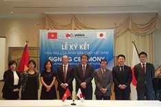 Japan provides aid to Vietnamese grassroots projects