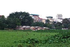 Hanoi loses 72,000 square metres of lake in five years