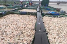 Russia sends USD5m in humanitarian aid to Vietnam following floods