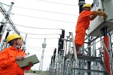 EVN opposes Government Inspectorate’s conclusion