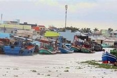 Vietnam braces for tropical storm Son Tinh