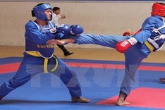 Vietnam tops traditional martial arts champs