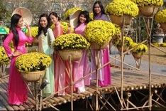Flower festival to add colour to Tet