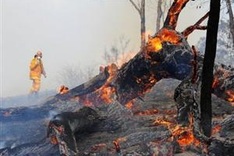 Thousands flee wildfires in southern Australia