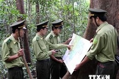 Information on Vietnam forests goes digital