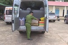 Đắk Lắk Province police discover wild animals at local restaurant