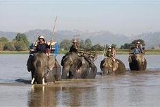 Tour firms may be fined for environmental offenses