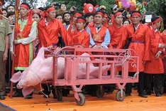 Animal rights activists demand end to Bac Ninh pig slaughter