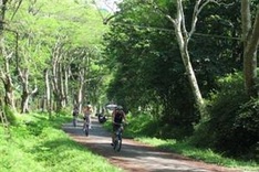 Cuc Phuong National Park offers escape from humdrum city life