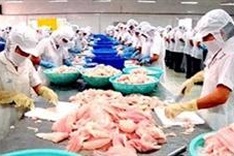Draft US regulations hinder Vietnamese seafood exports