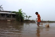 Sandworm season in Hai Duong