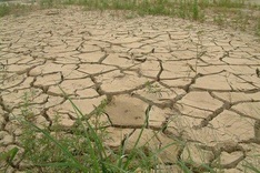 Lowland people wither because of hydropower plants