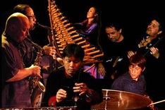 What's on November 2013 (Daily updated)