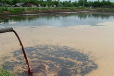Heavy metals poisoning Dong Nai environment