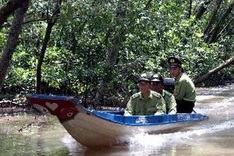 Ca Mau Cape national park receives Ramsar title
