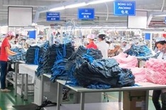 Vietnam's per capita income should be USD7,000: economist