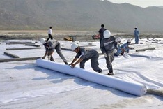 Deputy PM cracks whip at high pollution thermal plant