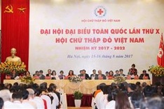 Prime Minister asks Vietnam Red Cross to renew operation