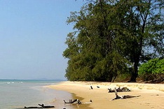 Landslides threaten Phu Quoc homes