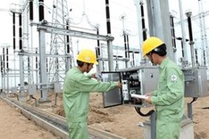 EVN earns 43.6 million USD from divestment