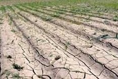 More efforts to build action plan for climate change adaptation