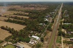 Climate change forecast to shrink rice yield