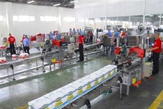 Singapore sends FDI skywards