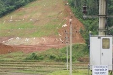 Chinese builder fined for planting exotic seedlings